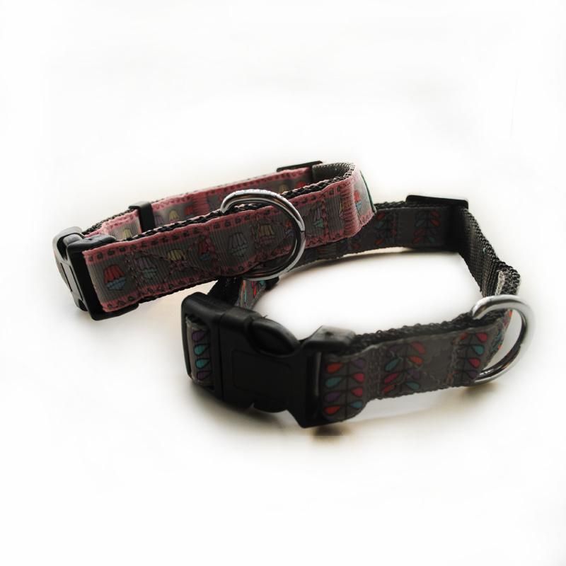 Cute Pet Leash Lead Collar Set with Ribbion Print Design