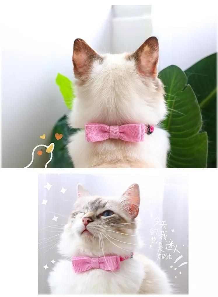 Cute Breakaway Cat Collar Bow Ties Adjustable Safety Buckle Kitten Dog Collar Pet Accessories Wholesale