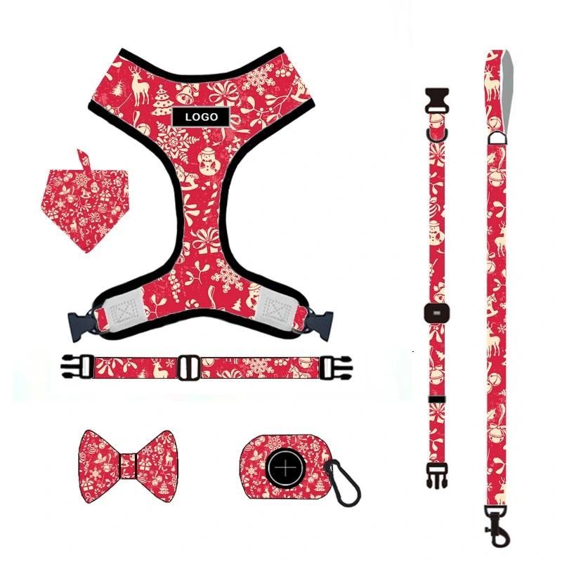 Free Mock up Custom Dog Harness with Leash Collar Poo Bag