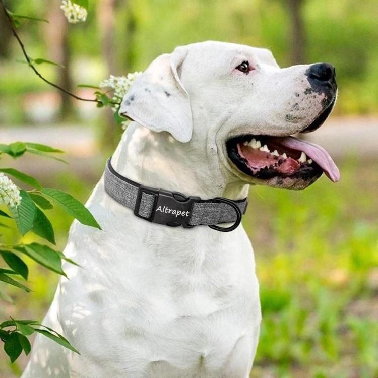 Fashion Design Soft Neoprene Padded Cotton Nylon Dog Collar with Engraving Logo Quick Release Buckle Personalized Collar for Dogs
