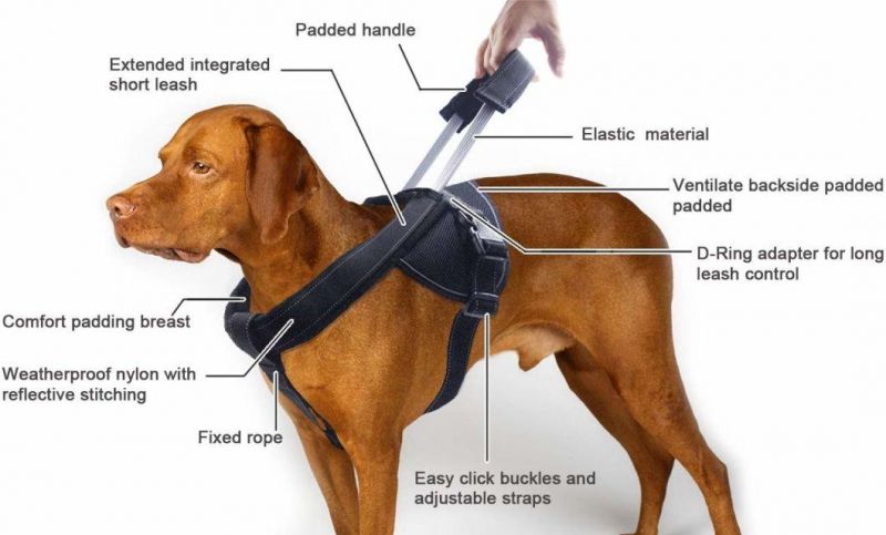 Heavy Duty Soft Padded Highly Reflective Medium and Large Dog Harness