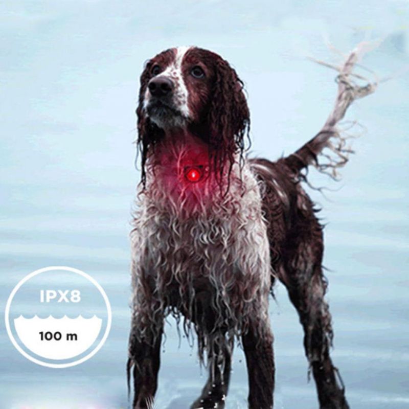 Clip-on Pet Dog Collar LED Light - Dog Lights for Collars