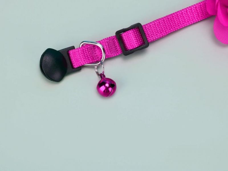 Fast Delivery of Floral Dog and Cat Collar with Bell