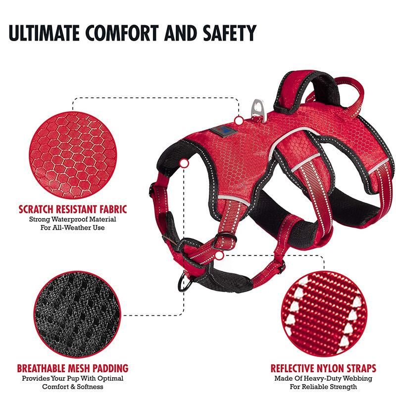 Dual Escape Proof Padded Dog Harness for Comfortable with Handle Dog Lift Harness