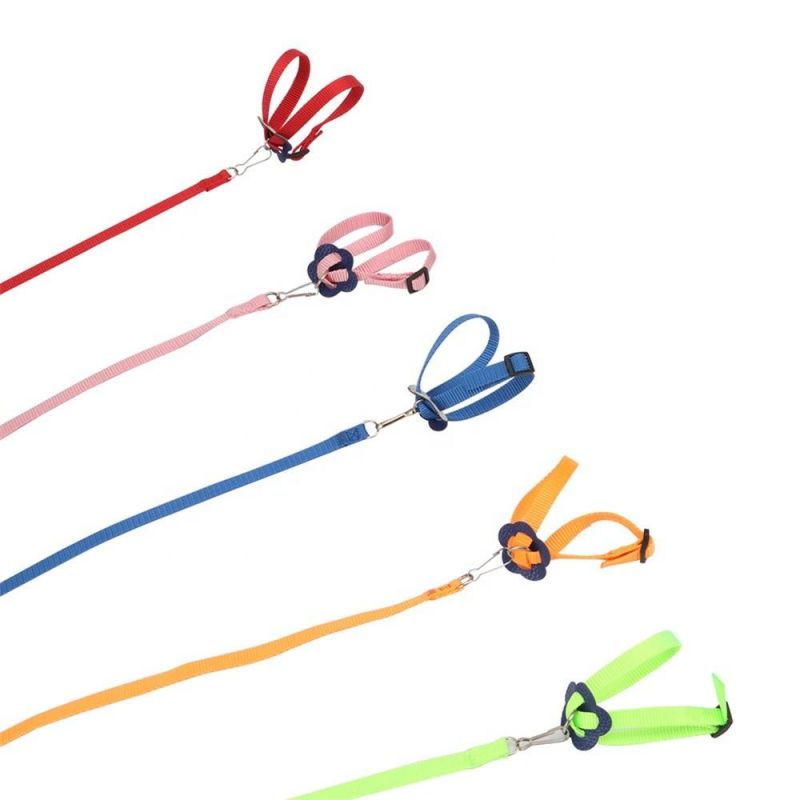 Adjustable Pet Leash Turtle Hamster, Lizard, Rabbit Outdoor Training Soft Belt Anti-Bite Leash