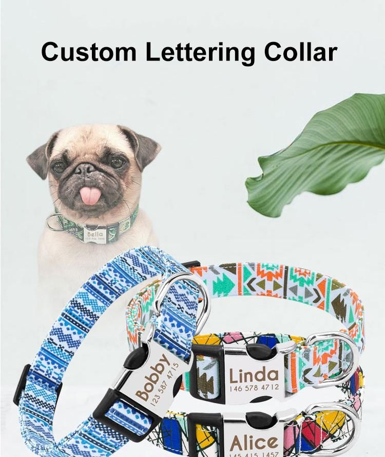 Designer Basic Classic Plain Metal Clasp Dog Pet Collar for Dogs Cats and Puppies