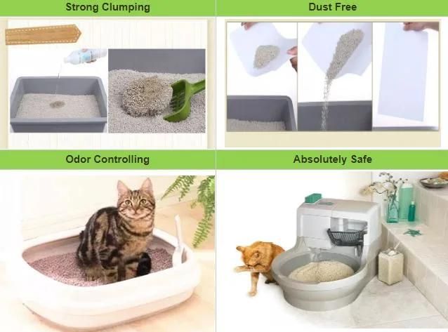 China Manufacturer Sale Tofu Cat Litter Broken Cat Tofu Litter OEM Best Clean Cat Litter Pet Accessories