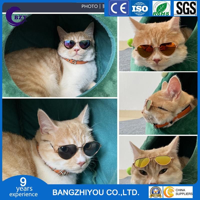 Pet Glasses Mini Cat Sunglasses Teddy Dog Personality Trend Sunglasses Harley Mirror