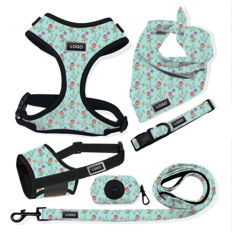 Pet Supplies Custom Dog Harness Reversible No Pull Dog Harness and Leash Front D Buckle Accesorios PARA Mascotas Vest for Dog