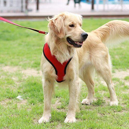 Authentic Soft Dog Harness Made out of 100% Polyester