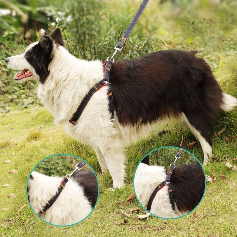 Dog Leash Dog Harness Dog Collar Set Denim Sewing Training Pet Harness Set