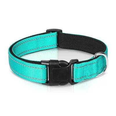 Polychrome Nylon Dog Collar No Neck Pet Collar