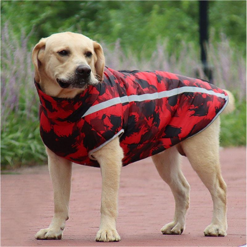 Reflective Padded Coat for Dog