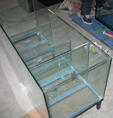 High Quality Ultra Clear Glass Fish Tanks