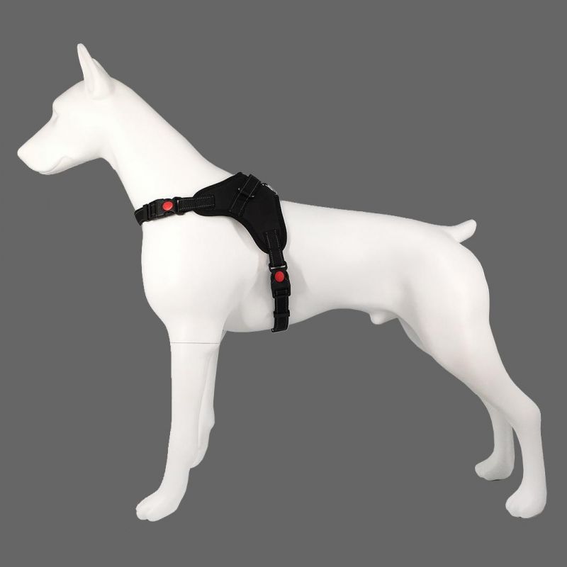 Stocked No Pull Reflective Adjustable Outdoor Pet Supply