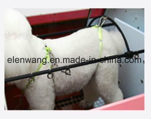 Automatic Dog Pet Dryer