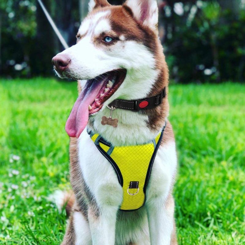 Reflective&Comfortable Soft Air Mesh Lining Dog Harness