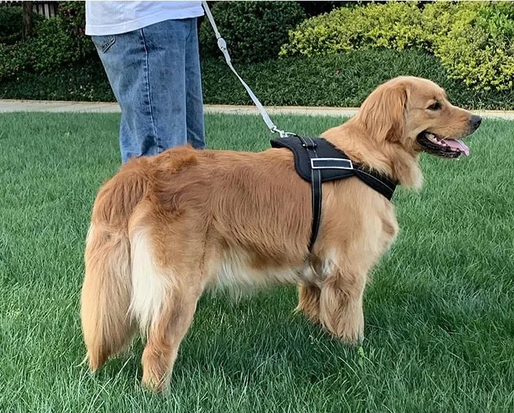 High Quality Adjustable Big Reflective No Pull Pet Dog Harness with Handle Collar