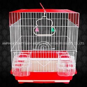 Fashionable Double Bird Cages Display Design for Sale in Miami