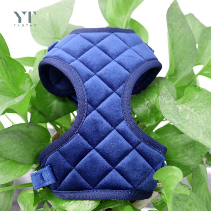 Luxury High Quality Soft Grid Velvet Fabric Mesh Padded Small Adjustable Dog Harness Pet Harness