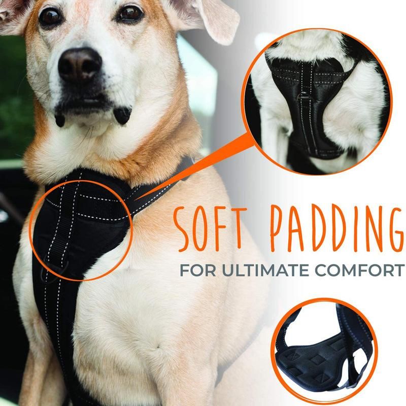 Vehicle Safety Dog Harness with Adjustable Straps and Soft Padding, Doubles as a Standard Dog Harness