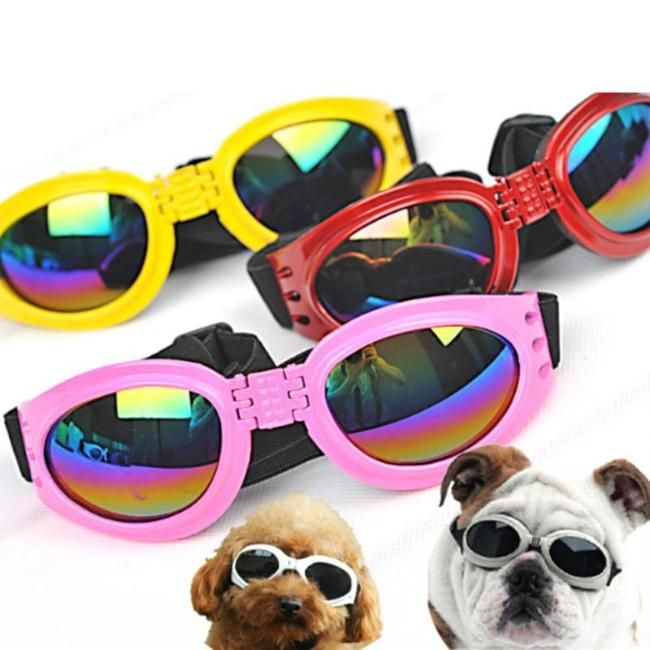 Pet Accessories Lovely Vintage Round Cat Sunglasses Reflection Glasses for Small Dog