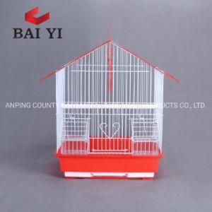 Bird Cage for Sale in Singapore and Melbourne