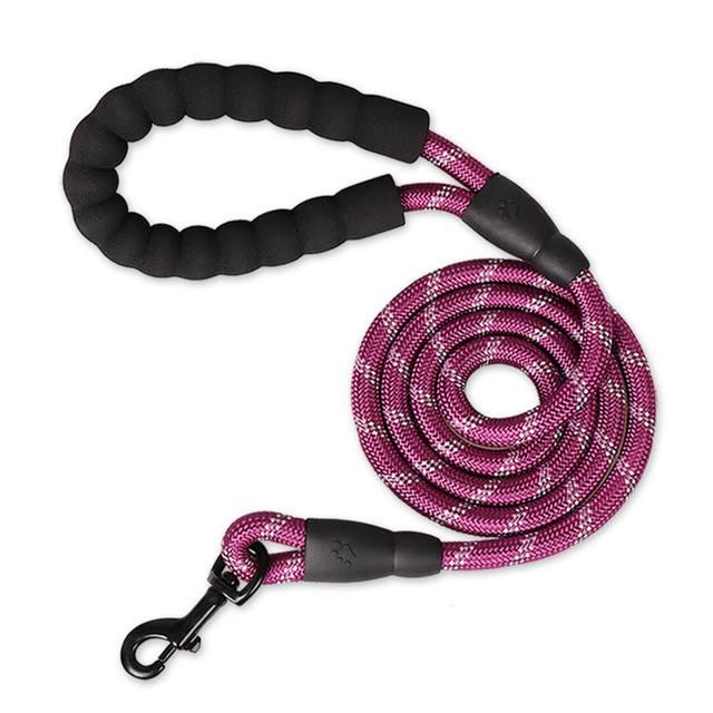 Pet Supplies Nylon Reflective Rope Running Walk Training Dog Leash