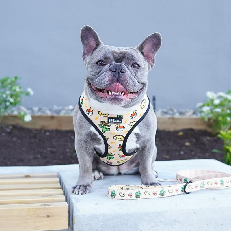 High Quality Soft No Pull Pet Adjustable Reversible Designer Dog Harness Leash Collar Poo Bag Holder Set