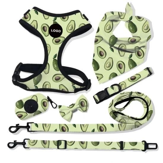Handed Approval Polyester Material Whole Set Pet Supply