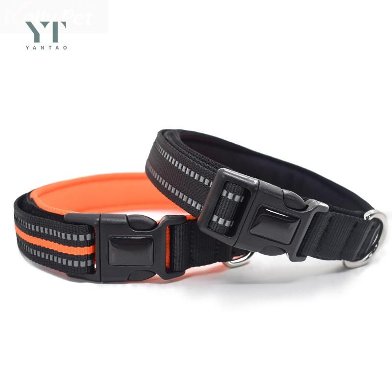 Adjustable Mesh Padded Durable Nylon Dog Training Collar Pet Accessory Pet Supply Dog Collar