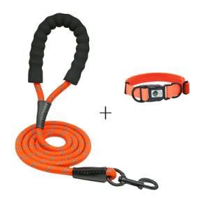 Dog Leash and Collar Orange L