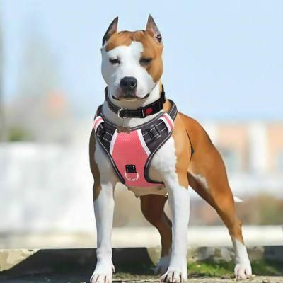 Sturdy Handy Handle Reflective Dog Harness