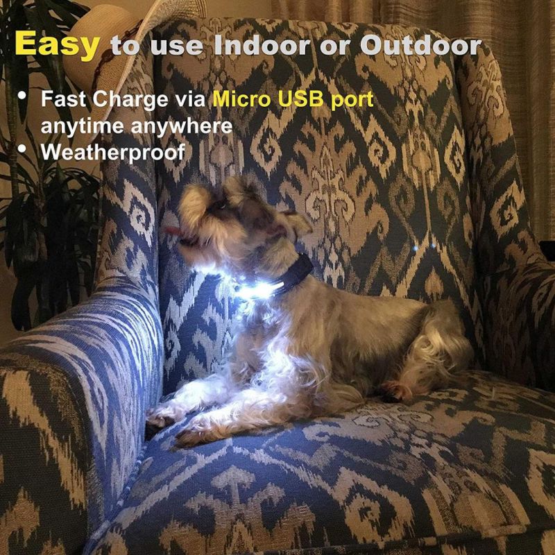 Wholesale Pet USB Rechargeable LED Flashing Dog Collar