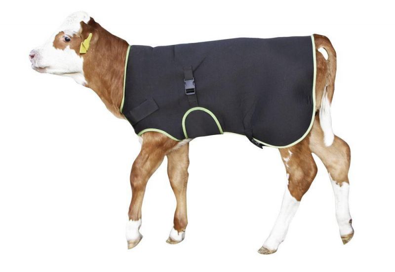 Waterproof Breathable Warming Calf Coat Calf Jackets