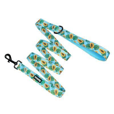 Individual Packaging 2cm Customized New Design Custom Printing Harness Leash Personal Logo Pet Products
