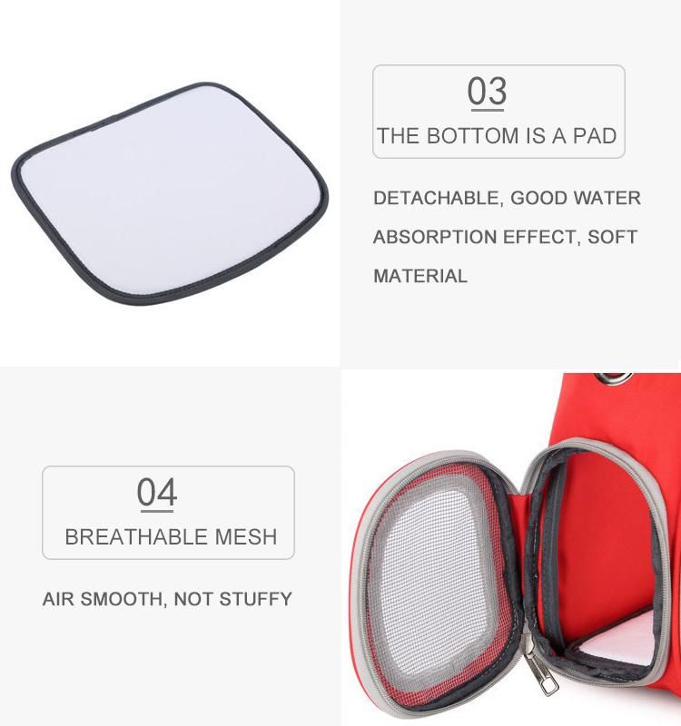 Customize OEM ODM Clear Pet Cat Dog Backpack Bag Carriers Houses