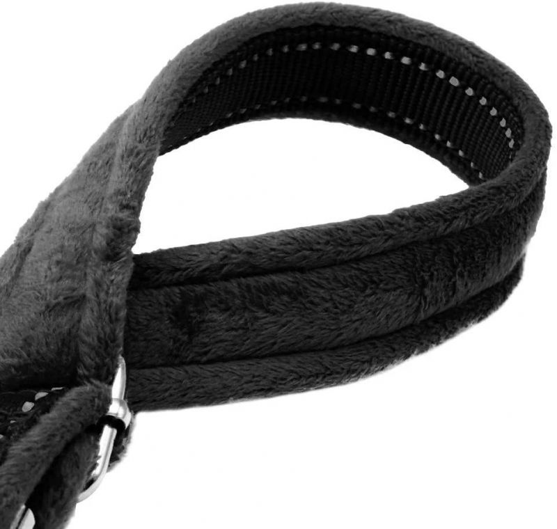 Soft Padded Personalized Dog Collar