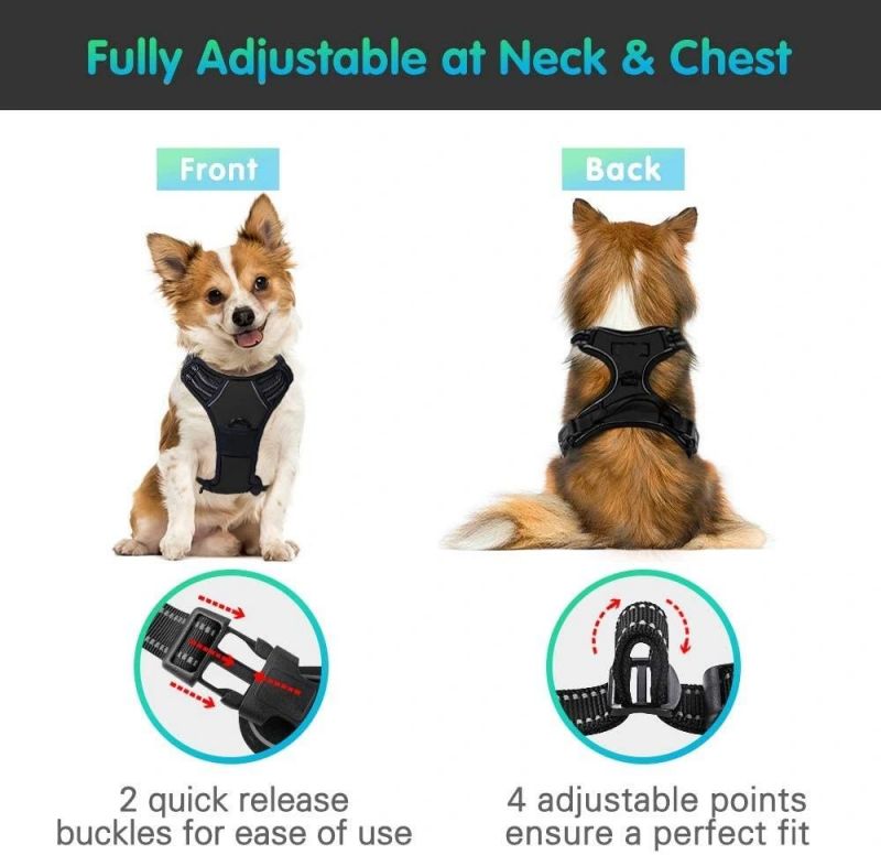 Walking Pet Harness with 2 Metal Rings and Handle