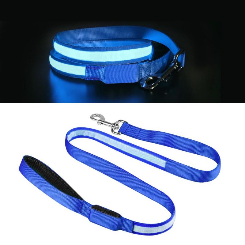 Double Stripe LED Dog Leash USB Charging