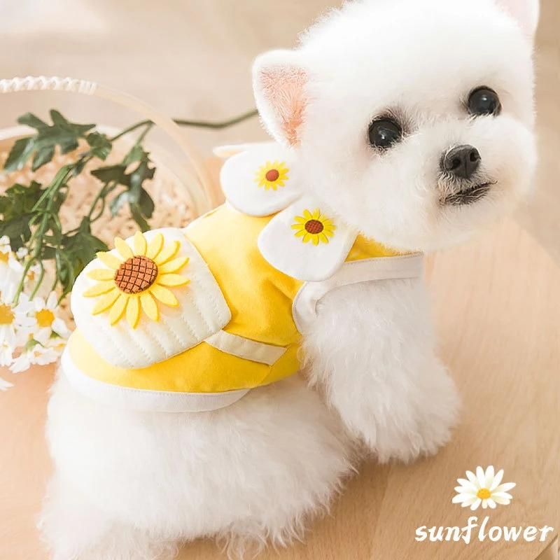 New Arrival Fashionable Cotton T-Shirt Solid Color Teddy Sports Hoodie Dogs Jacket Apparel Pet Cloth