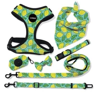 Sublimation Pet Harness OEM Personal Label Custom Print Pattern Dog Harness