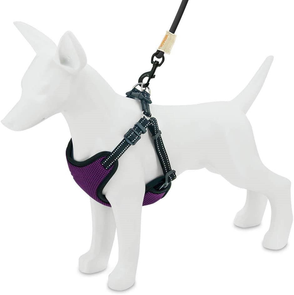 Soft Mesh Step in Dog Harness with Multiple Colors
