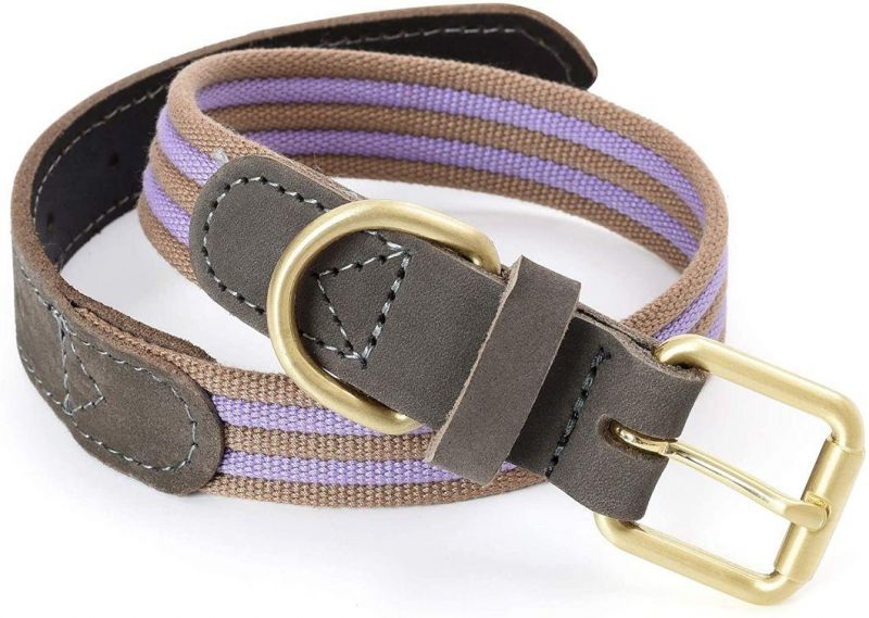 Genuine Leather Belt Collar Canvas Dog Collar