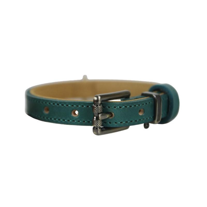 Fast Delivery of Genuine Dog Collar with Multiple Colors Option