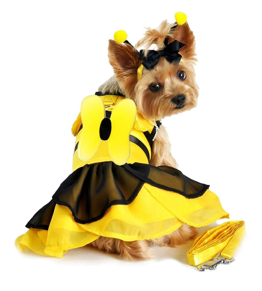 Xs XL Summer Autumn Newest Insect Cosplay Luxury Design Pet Skirt, Super Fashion and Comfortable Dog Clothes