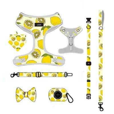 Sublimation Dog Harness Vest Custom Logo Dog Accessories Ajustable Padded Harnesses for Dogs/Pet Toy