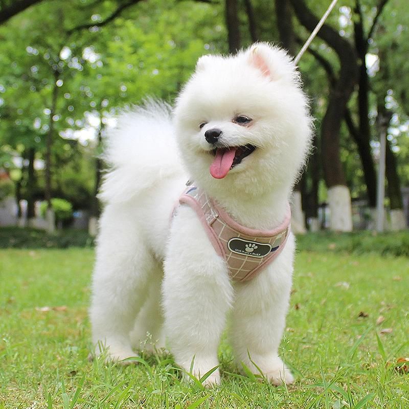 Dog Harness Breathable Mesh Vest Adjustable Dog Harness Reflective Dog Accessories