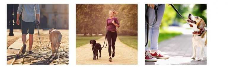 Hands Free Dog Leash Multifunctional Dog Training Lead