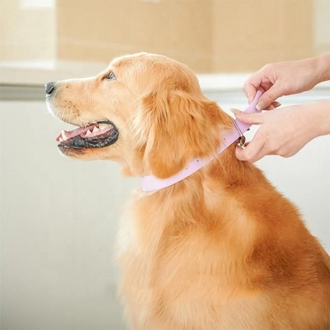 Designers Adjustable Dog Pet Collar Supplies Luxury Lightweight Waterproof PVC Dog Collar with Logo